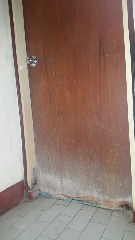 disgusting hotel in Bima